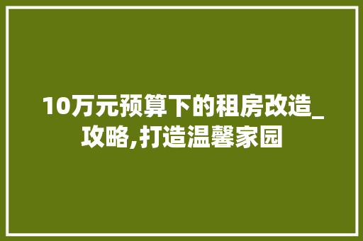 10万元预算下的租房改造_攻略,打造温馨家园