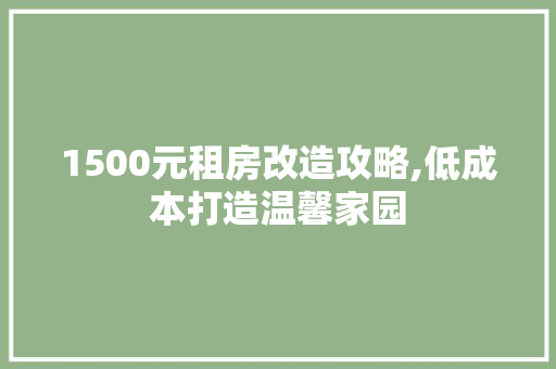 1500元租房改造攻略,低成本打造温馨家园