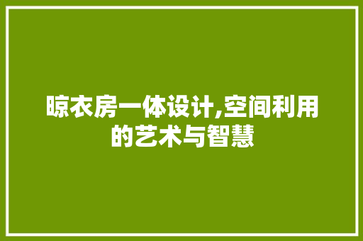 晾衣房一体设计,空间利用的艺术与智慧