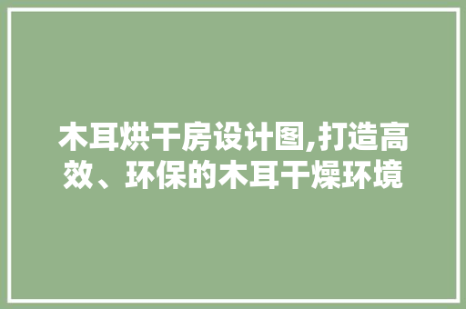 木耳烘干房设计图,打造高效、环保的木耳干燥环境