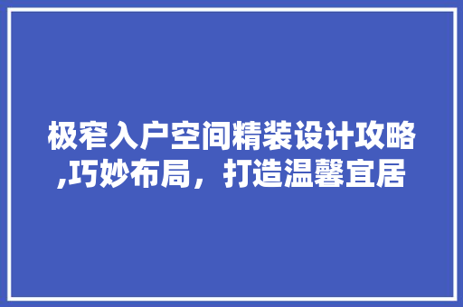 极窄入户空间精装设计攻略,巧妙布局，打造温馨宜居的家