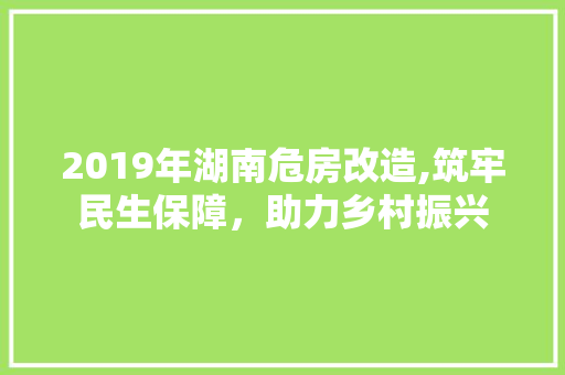 2019年湖南危房改造,筑牢民生保障，助力乡村振兴