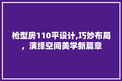 枪型房110平设计,巧妙布局，演绎空间美学新篇章