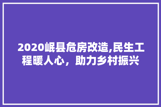 2020岷县危房改造,民生工程暖人心，助力乡村振兴
