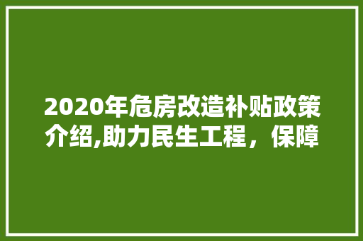 2020年危房改造补贴政策介绍,助力民生工程，保障住房安全