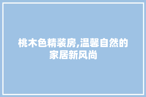 桃木色精装房,温馨自然的家居新风尚