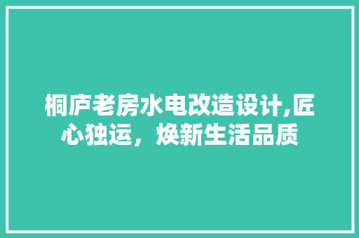 桐庐老房水电改造设计,匠心独运，焕新生活品质
