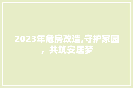 2023年危房改造,守护家园，共筑安居梦