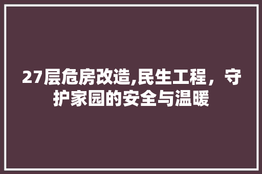 27层危房改造,民生工程，守护家园的安全与温暖