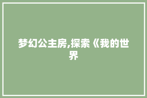 梦幻公主房,探索《我的世界