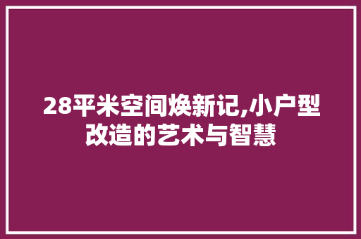 28平米空间焕新记,小户型改造的艺术与智慧