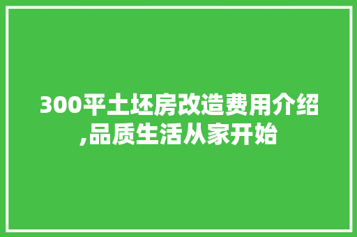 300平土坯房改造费用介绍,品质生活从家开始