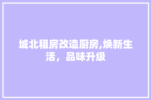 城北租房改造厨房,焕新生活，品味升级