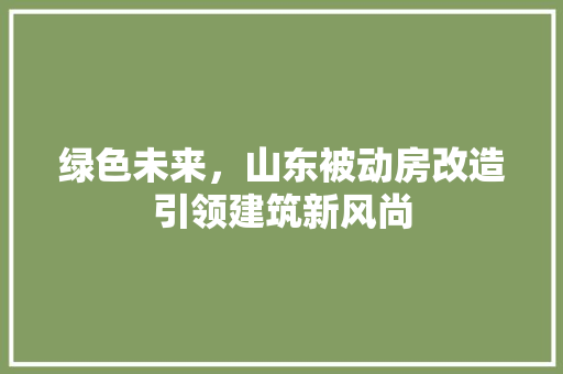 绿色未来，山东被动房改造引领建筑新风尚