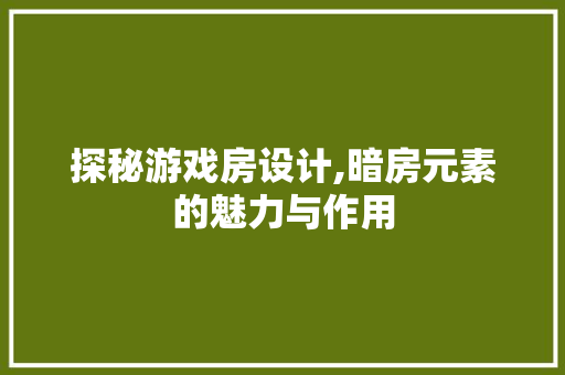 探秘游戏房设计,暗房元素的魅力与作用