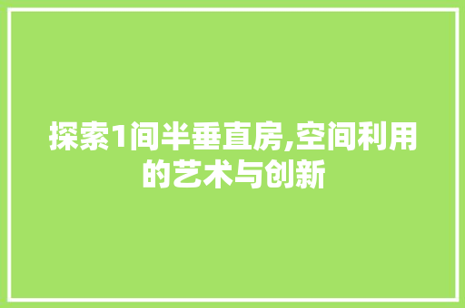 探索1间半垂直房,空间利用的艺术与创新