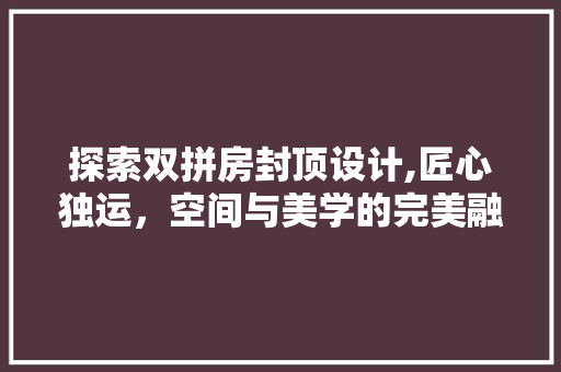 探索双拼房封顶设计,匠心独运，空间与美学的完美融合