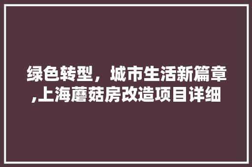 绿色转型，城市生活新篇章,上海蘑菇房改造项目详细介绍