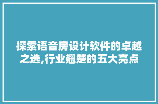 探索语音房设计软件的卓越之选,行业翘楚的五大亮点