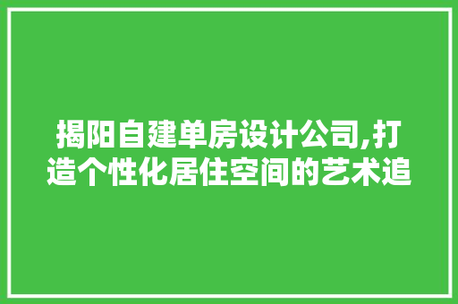 揭阳自建单房设计公司,打造个性化居住空间的艺术追求