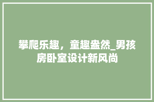 攀爬乐趣，童趣盎然_男孩房卧室设计新风尚
