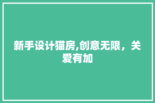 新手设计猫房,创意无限，关爱有加