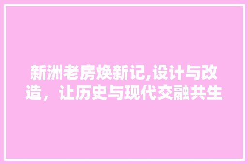 新洲老房焕新记,设计与改造，让历史与现代交融共生