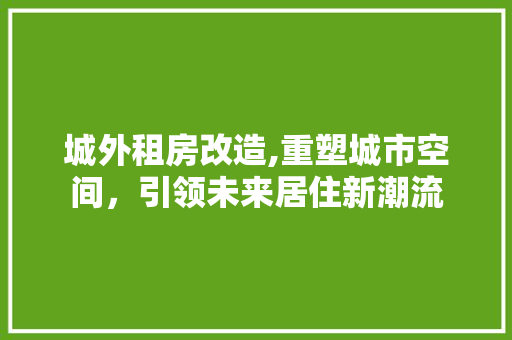 城外租房改造,重塑城市空间，引领未来居住新潮流