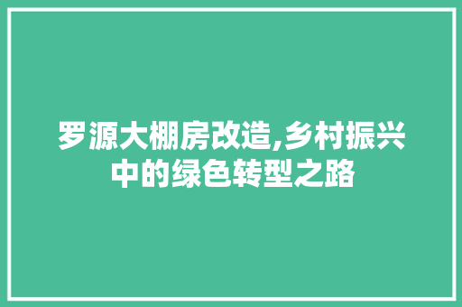 罗源大棚房改造,乡村振兴中的绿色转型之路