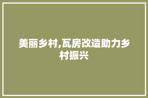 美丽乡村,瓦房改造助力乡村振兴