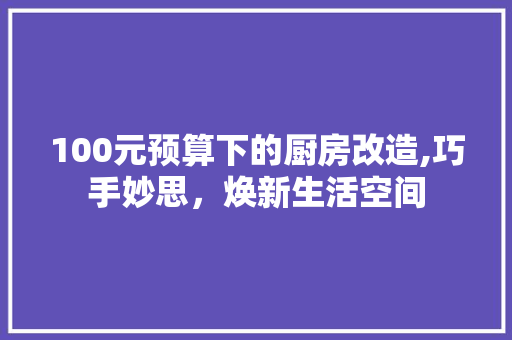 100元预算下的厨房改造,巧手妙思，焕新生活空间