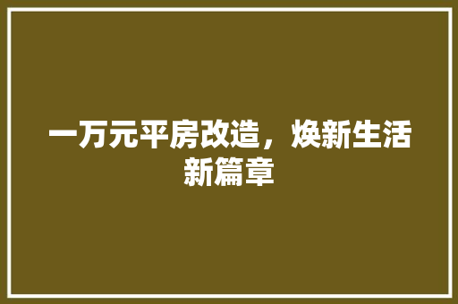 一万元平房改造，焕新生活新篇章