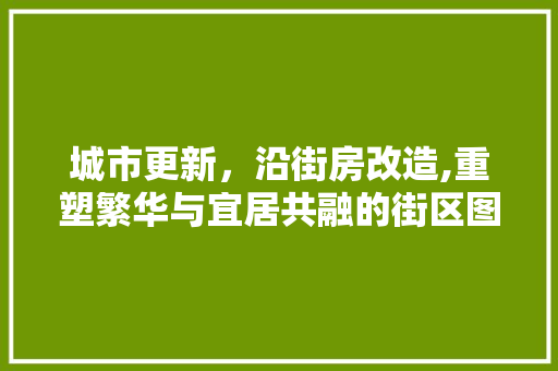 城市更新，沿街房改造,重塑繁华与宜居共融的街区图景