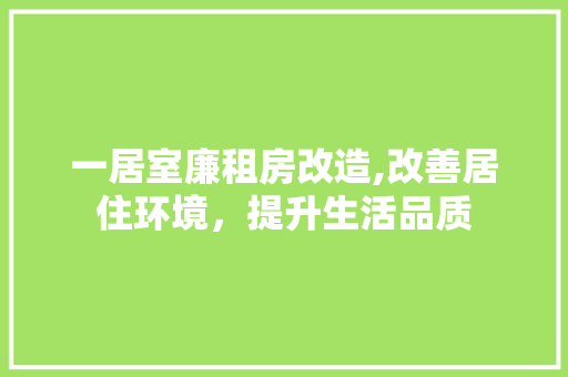 一居室廉租房改造,改善居住环境，提升生活品质