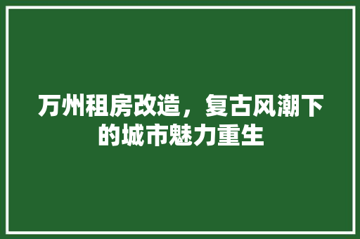 万州租房改造，复古风潮下的城市魅力重生