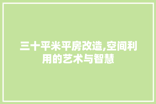 三十平米平房改造,空间利用的艺术与智慧