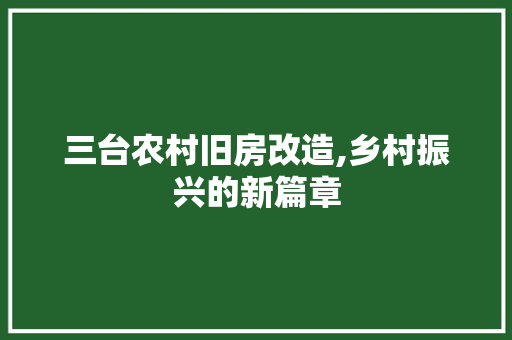 三台农村旧房改造,乡村振兴的新篇章