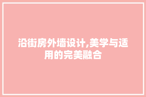 沿街房外墙设计,美学与适用的完美融合