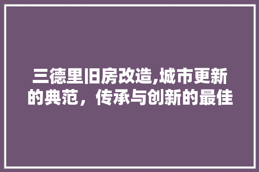 三德里旧房改造,城市更新的典范，传承与创新的最佳诠释