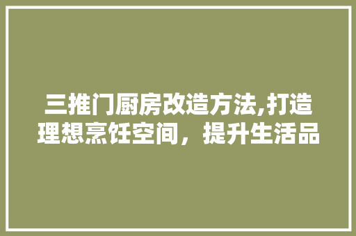 三推门厨房改造方法,打造理想烹饪空间，提升生活品质