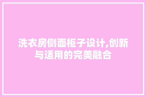 洗衣房侧面柜子设计,创新与适用的完美融合