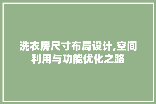 洗衣房尺寸布局设计,空间利用与功能优化之路