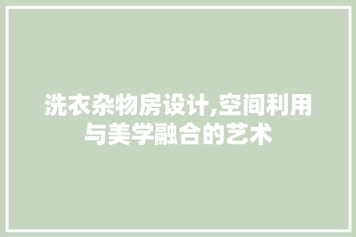 洗衣杂物房设计,空间利用与美学融合的艺术