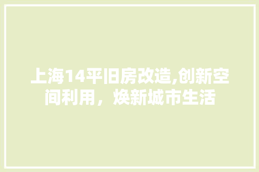 上海14平旧房改造,创新空间利用，焕新城市生活