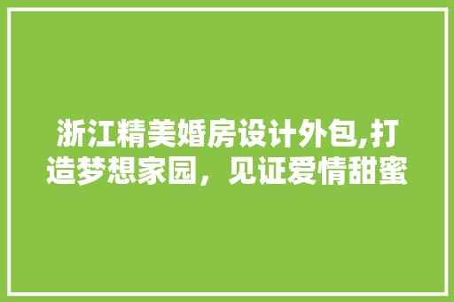 浙江精美婚房设计外包,打造梦想家园，见证爱情甜蜜