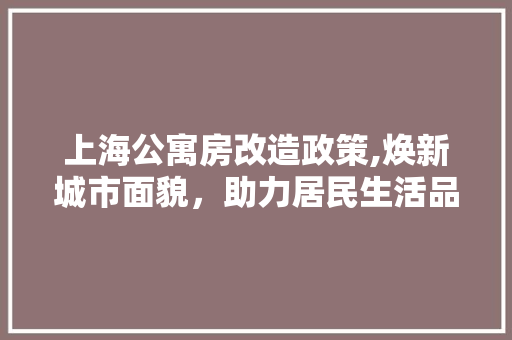 上海公寓房改造政策,焕新城市面貌，助力居民生活品质提升