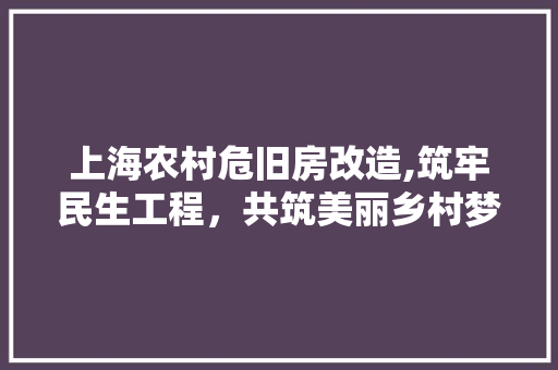 上海农村危旧房改造,筑牢民生工程，共筑美丽乡村梦
