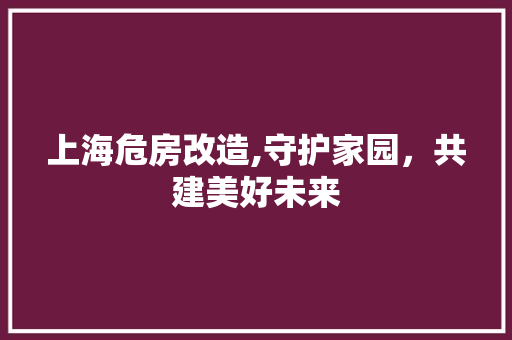 上海危房改造,守护家园，共建美好未来