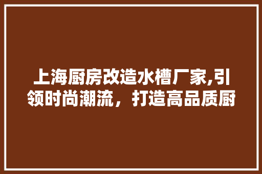 上海厨房改造水槽厂家,引领时尚潮流，打造高品质厨房生活