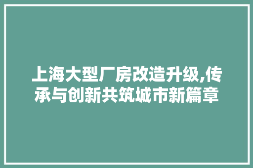 上海大型厂房改造升级,传承与创新共筑城市新篇章